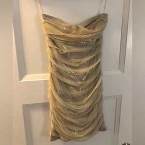 Express Sparkle Swiss Dot Mini Dress